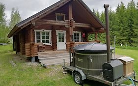 Cottage-karaoke Koivikko